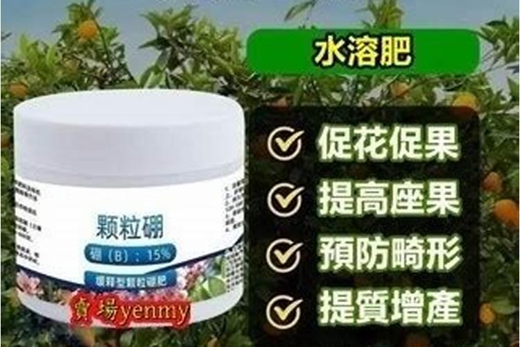 水溶肥十大名牌,摩力水溶肥效果极好