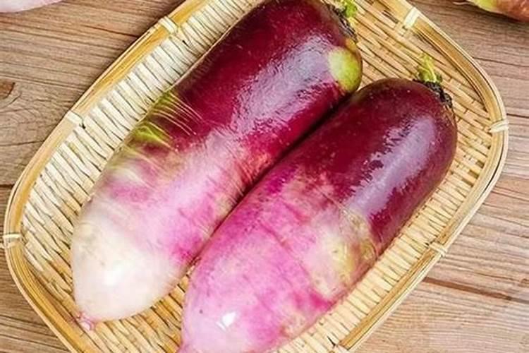 胡萝卜如何施肥最科学 选择什么肥料好