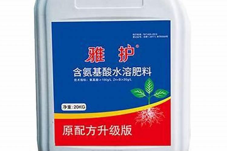 钙肥的最佳使用时期