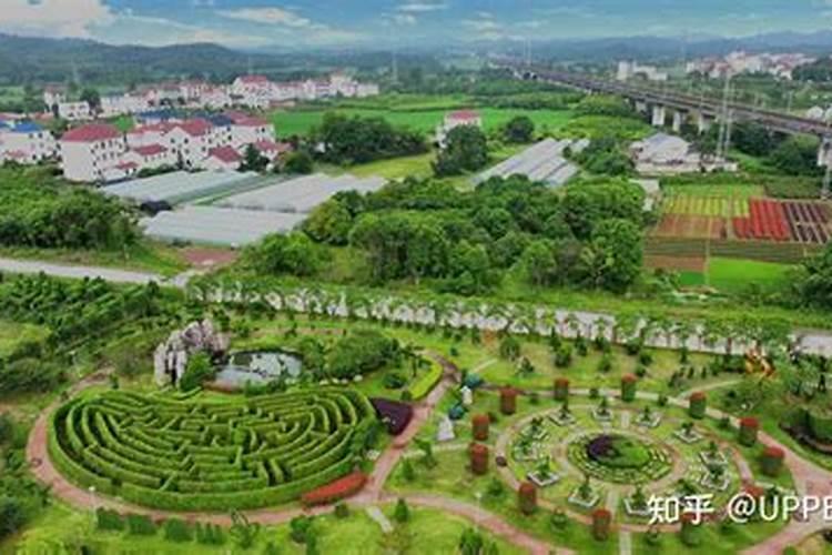 肥料对园林植物生长的作用是什么？