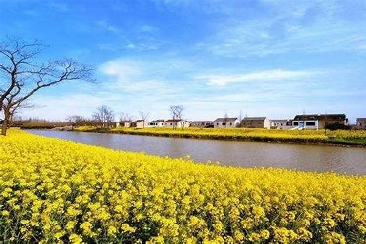 钓鱼时怎么看出肥水与瘦水