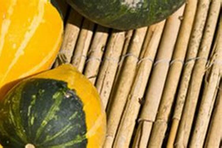 南瓜需要施什么肥