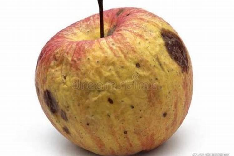 春季柑橘琳树发芽前可以喷施硼肥吗？