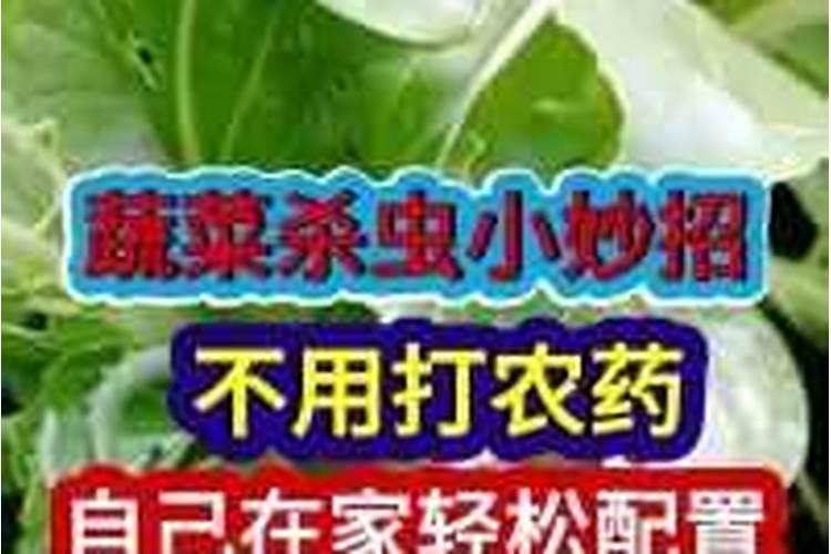 豇豆能打喷施纯牛奶作叶面肥吗