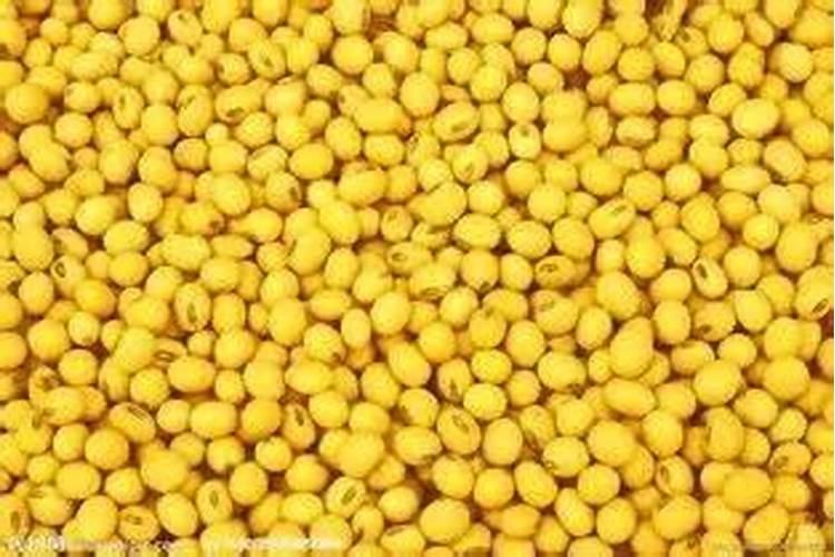 亚磷酸钾是药还是肥？亚磷酸钾用多了出现什么后果？