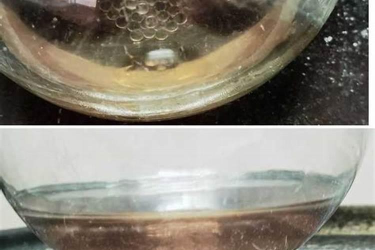 沃柑施什么肥较甜