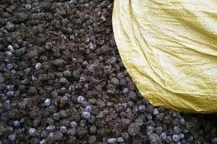 我养的花没有肥料施肥,用什么可以代替？