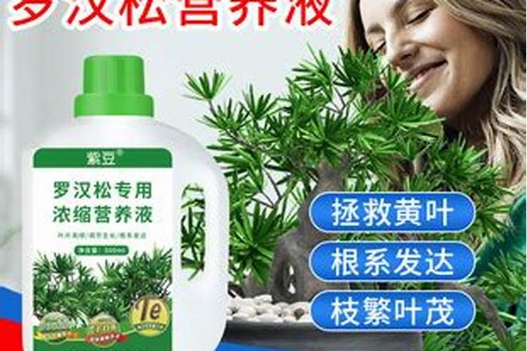 棉花打什么叶面肥好