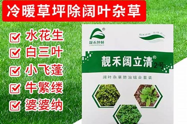 百慕大草坪怎么让他快速反青