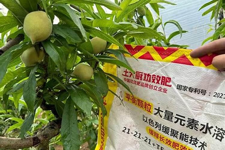 河北萌帮水溶肥怎么样