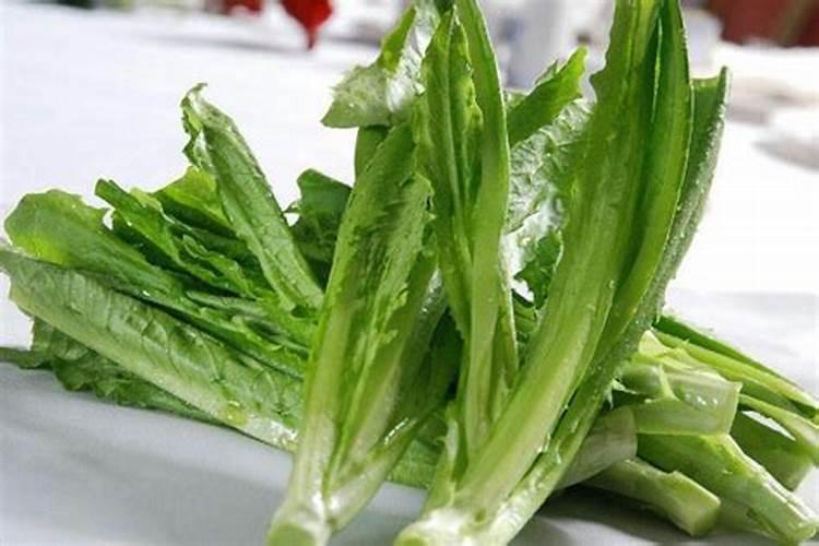 花盆中的白色小虫是什么？
