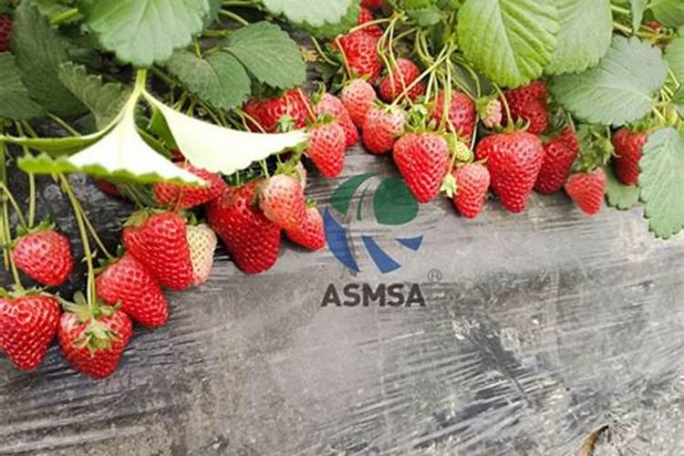 ...也不要放回原瓶(活泼金属钠、钾等例外).为什么？