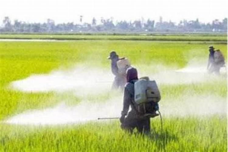 打玉米控旺的还可以加什么液