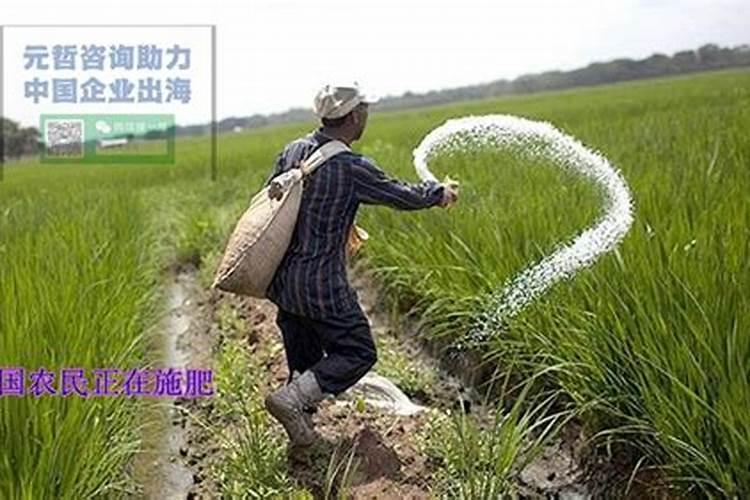 苹果摘袋后打什么杀菌药