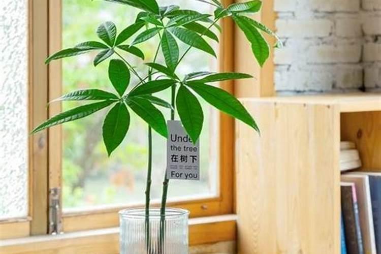 土壤小课堂丨腐殖酸还是腐植酸,你怎么看？