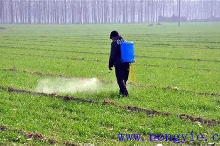 小麦追肥用硝酸磷好吗 什么时候使用效果好