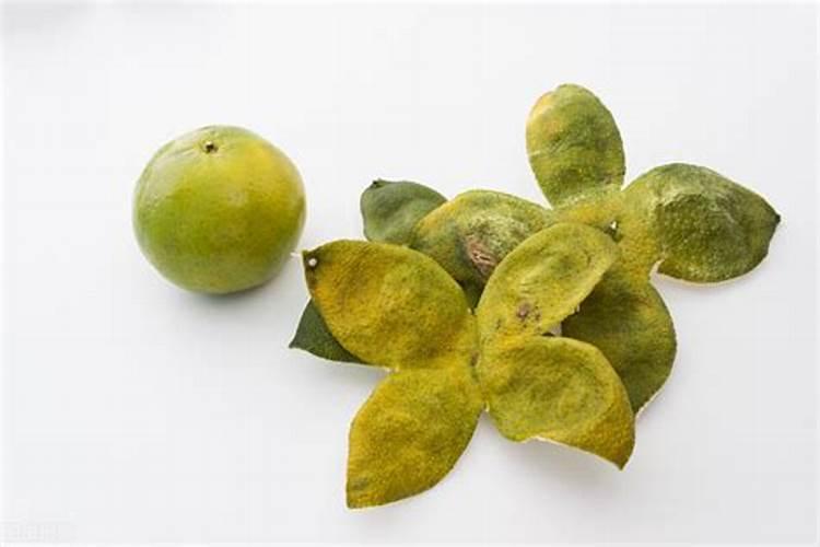 盆栽橘子用什么肥