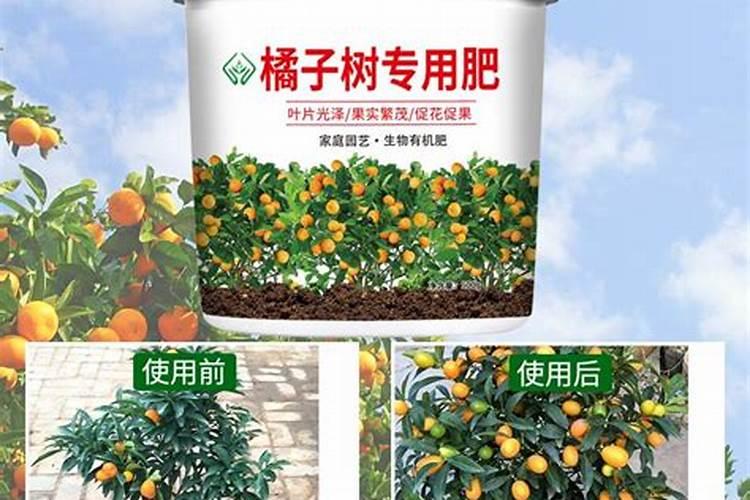 柑橘生长需要哪些肥料(橘子全年科学施肥时期和方案)