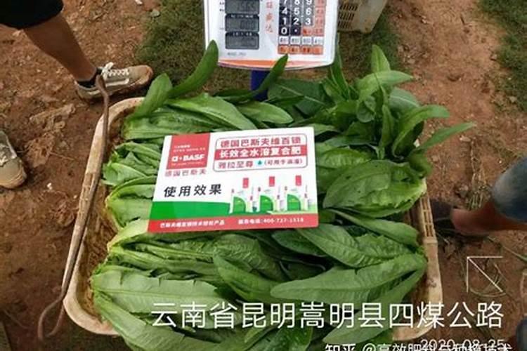 大豆用什么肥料追肥