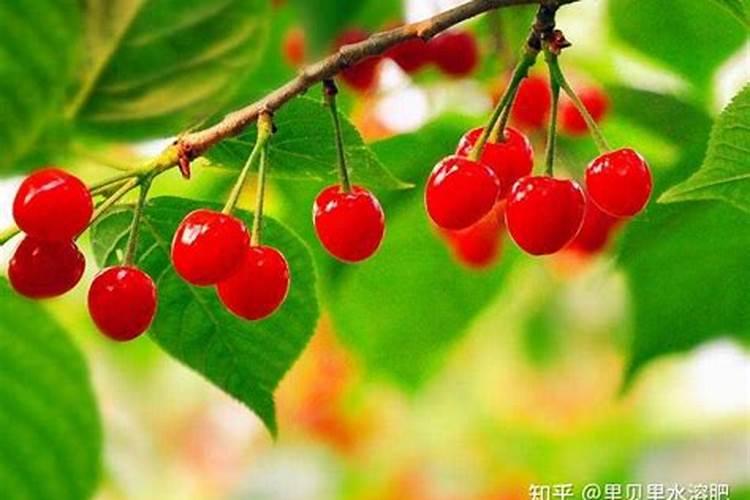 贵州黔龙组合磷业有限责任公司福泉化肥厂怎么样？