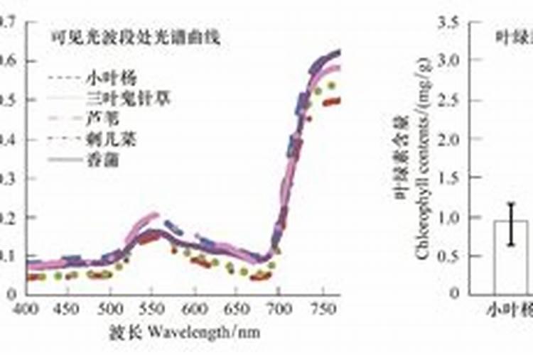 最好的叶面肥有哪几种