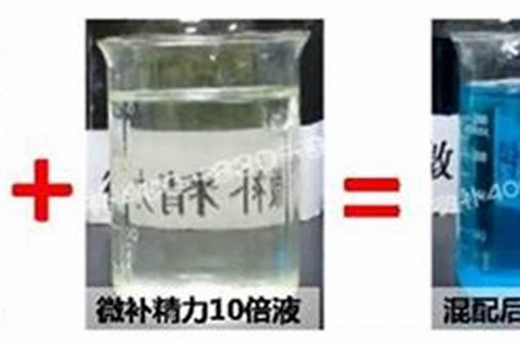 青川鱼是什么鱼