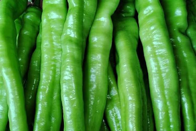 尖椒施肥要科学,尖椒施肥该怎么管理？