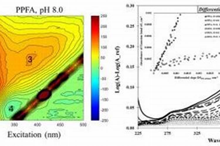 月季扦插多久可以移盆 月季扦插几天后可移盆