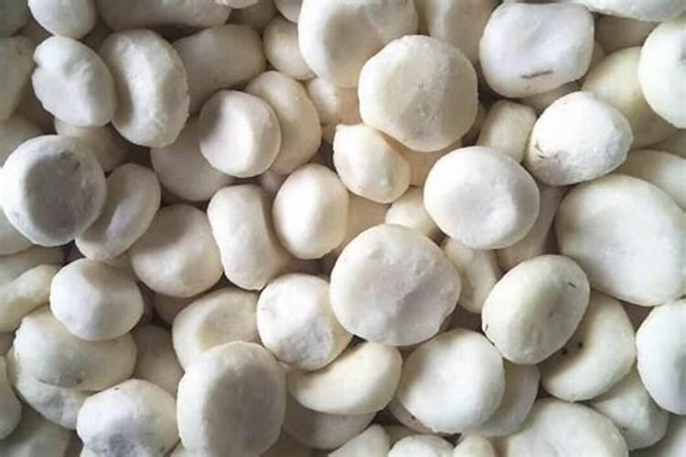 马蹄用什么肥料发苗快广？