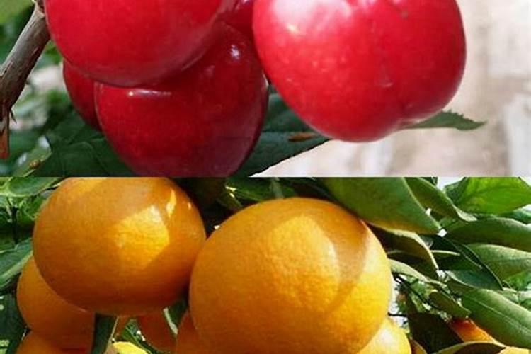 黑龙江彤洲生物肥制造有限公司怎么样？