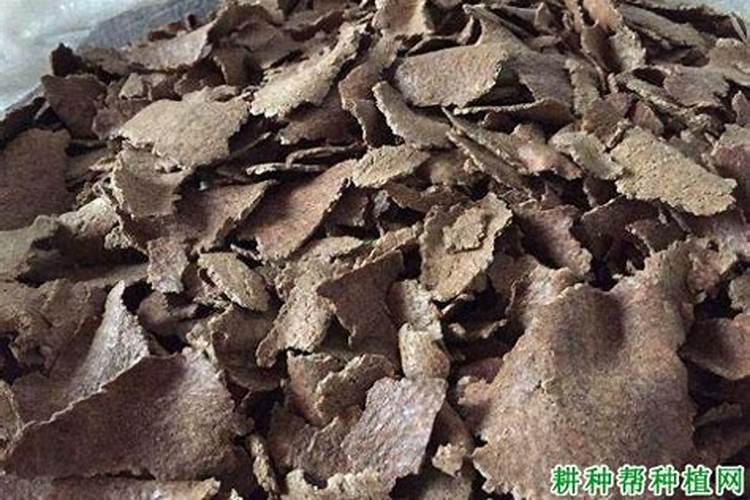 尿素生产企业汇总