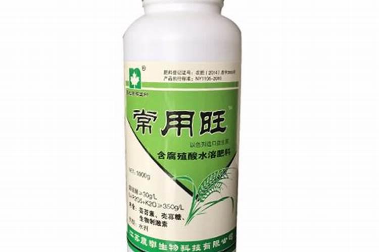 山东大葱产地在哪里