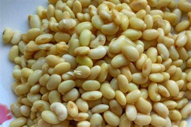 山西长治冬天可以种核桃树苗吗？