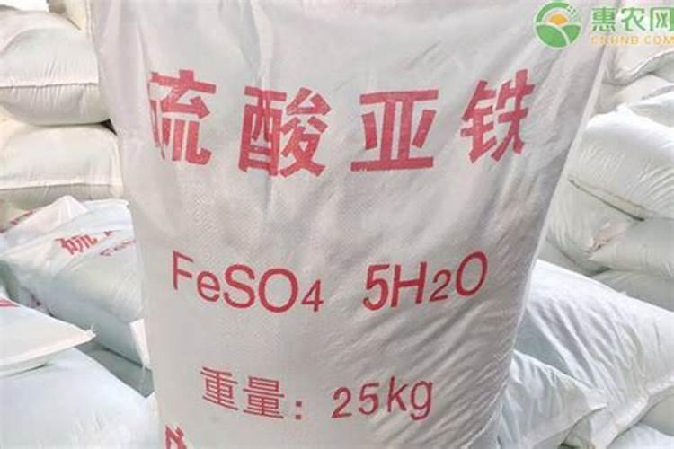 龟背竹浇什么肥料合适