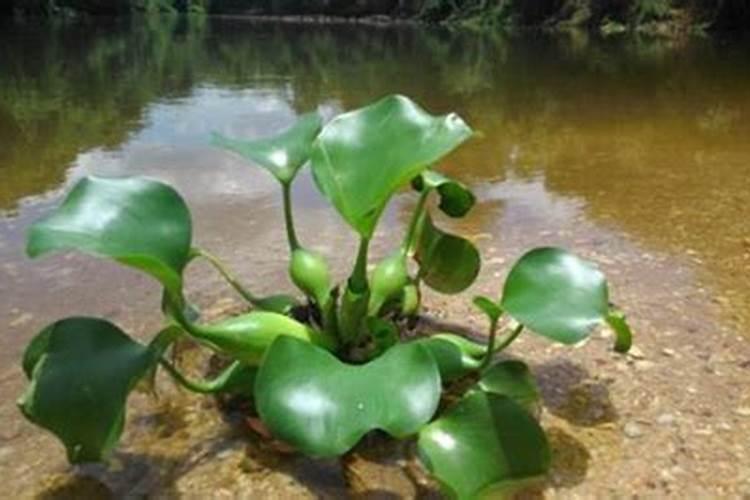 今年物价都上涨了些什么？