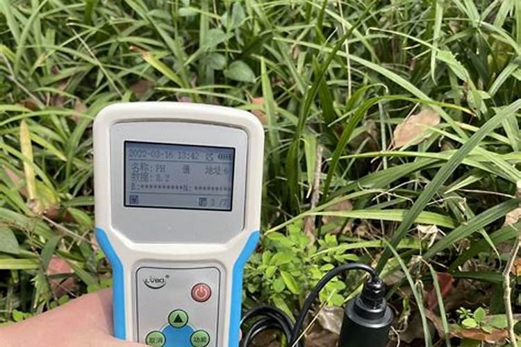 如何对山楂进行测土配方施肥？