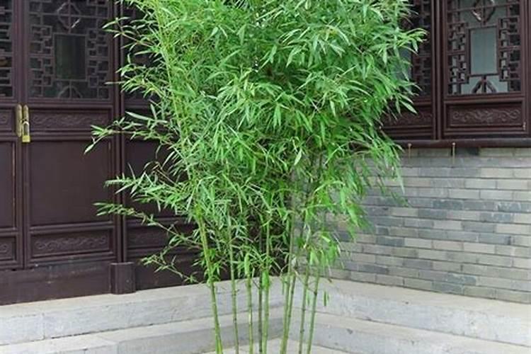 有什么可以给农作物补充钾元素的产品吗？
