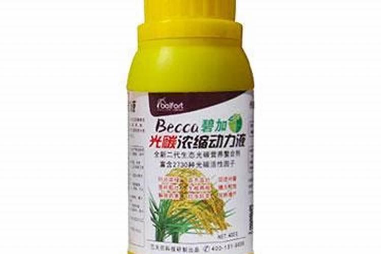 生姜第一次追肥追什么肥好