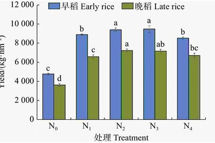 现在玉米冲施肥用什么肥料最好