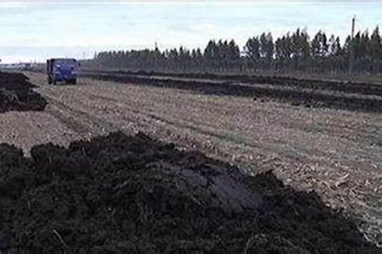 基肥是什么意思