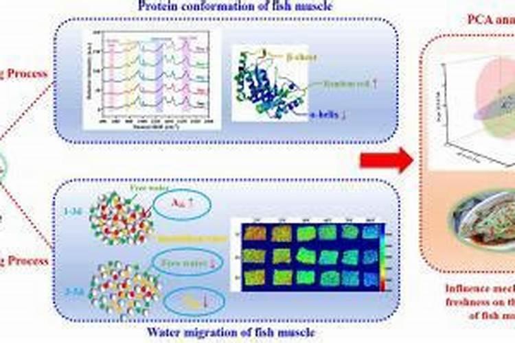 云智北斗系列产品入选《全国水利系统产品招标重点推荐目录》百度知 ...