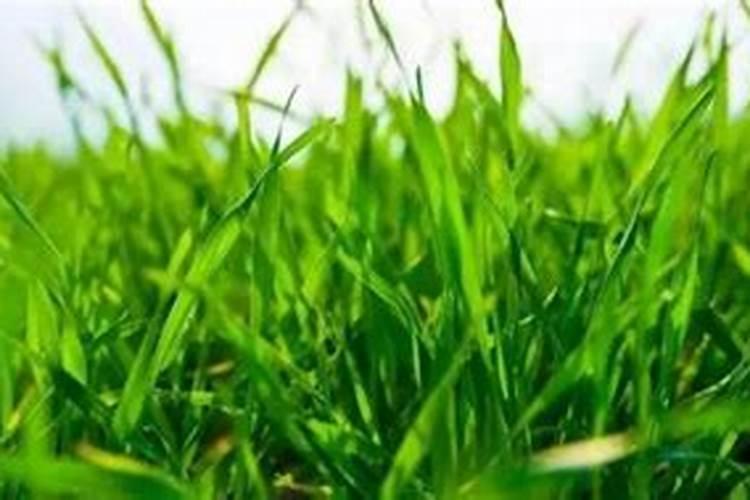 为什么中国钾肥紧缺的