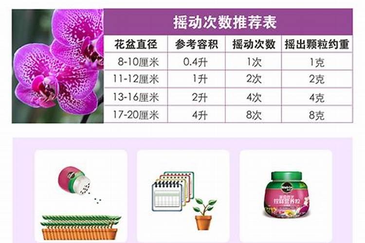 兰花不开花用什么肥料