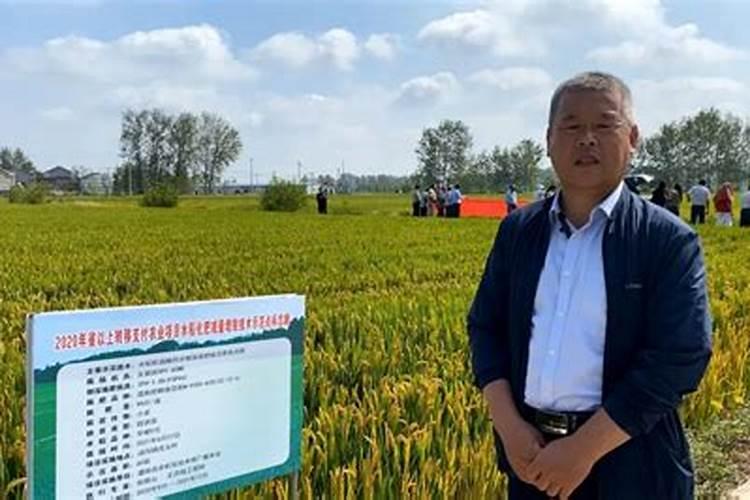 哪种氮肥对水果的甜度有影响