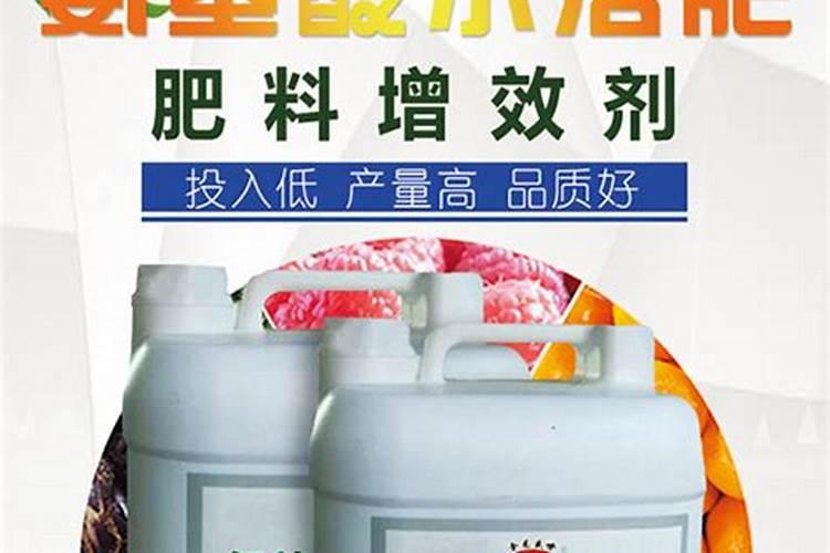 马蹄莲施什么肥最好