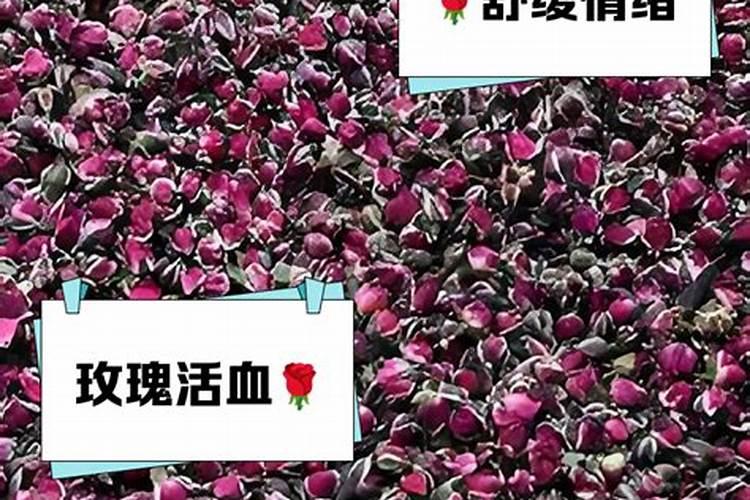 蝴蝶兰花土用什么？来说说