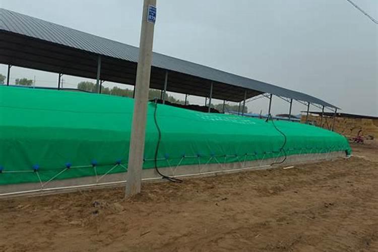 果树喷药和叶面肥6小时后下雨药液有无影响？