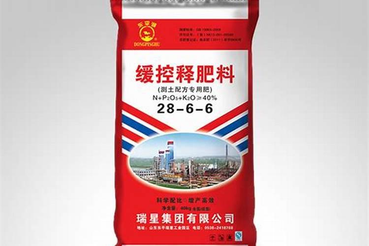 蓝莓栽培管理技术 如何种植 蓝莓树苗选购