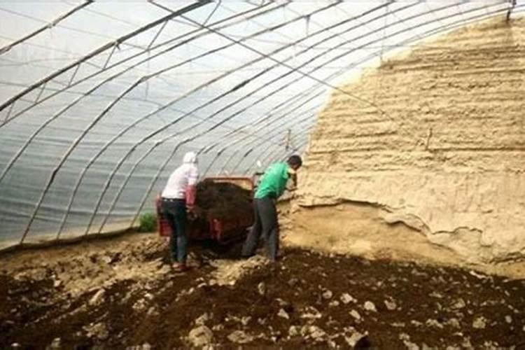 化肥里面的氮磷钾的原材料哪个最高哪个最低啊!