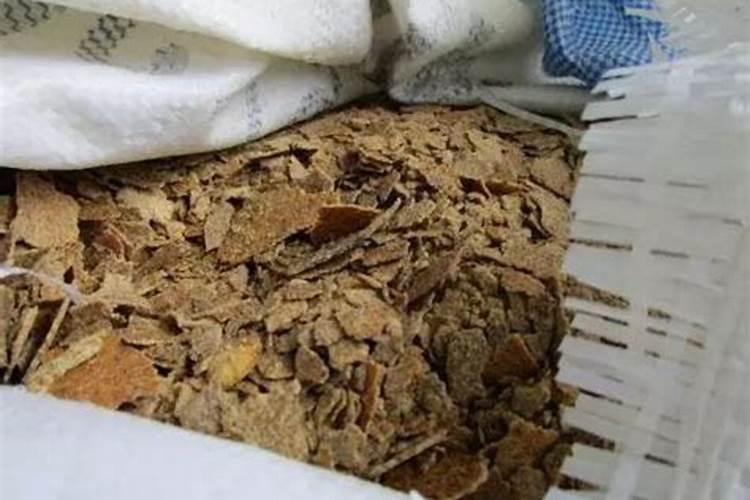 氮肥为主的有机肥是什么肥料